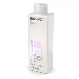 SHAMPOO COOL BLONDE RUBIO FRIO 250ML FRAMESI