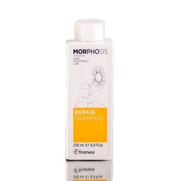 SHAMPOO REPAIR CABELLO DAÑADO 250ML FRAMESI